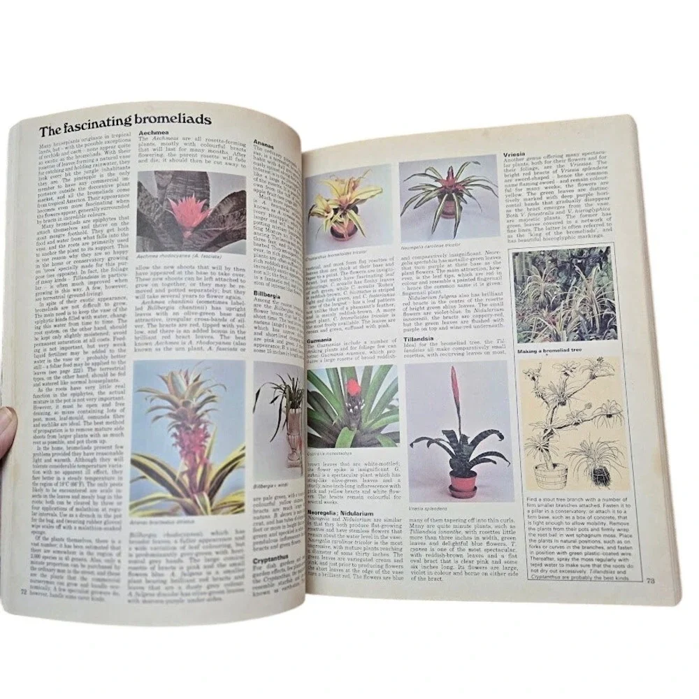 The Complete Indoor‎ Gardener by Michael Wright 1974 Gardening Book
